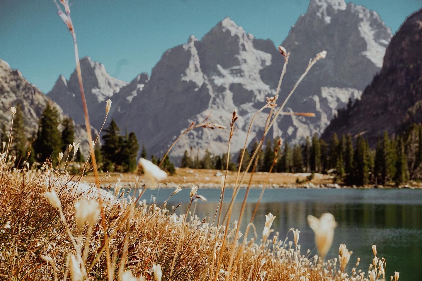 How To Practice Slow Living This Spring – Rise Centered